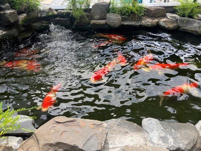 Bán siêu phẩm biệt thự 9 tầng phú mỹ hưng - tân mỹ quận 7 1