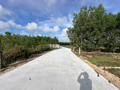 Bán 5m x 25m hẻm hoàng diệu, lagi giá ngộp 700 triệu 4