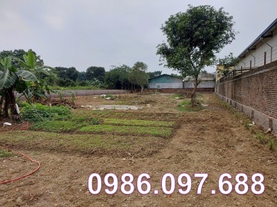 ⭐Cho thuê 1.438m2 đất giá tốt đường rộng 6m tại xã Đông Xuân  Quốc Oai , Hà Nội, 0986.097.688 0
