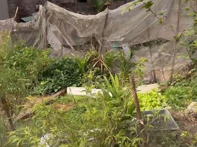 Chính chủ mình cần tiền bán gấp mảnh đất 58,3m ở tự môn, thuận an, hà nội dương quang, gia lâm cũ 2