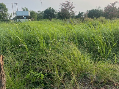 Cần bán gấp lô đất 78m2 kđt làng sen việt nam   mặt tiền tỉnh lộ 10   sổ hồng riêng   giá chỉ 1,7 tỷ 4