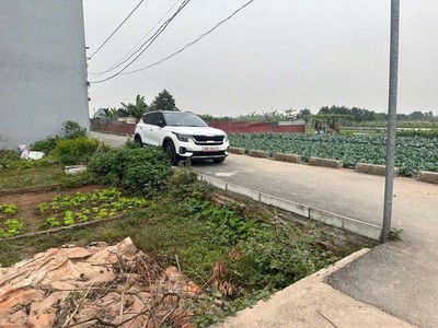 Bán 41.5 m2 đất sen hồ thuận an lệ chi cũ giá chỉ 2.05 tỷ lh 0985865658 3