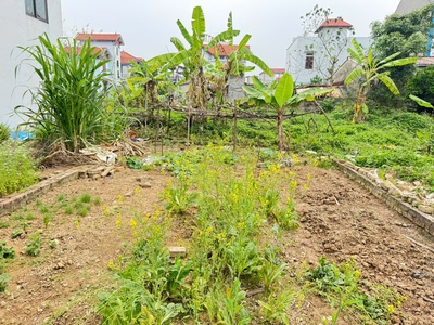 Cực hiếm, 64m đất tổ 9, quang minh - nằm sát ngay khu công nghiệp mà giá chỉ 1,8 tỷ 2