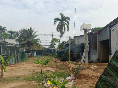 Đất vàng củ chi sát địa đạo bến đình đón đầu 2 dự án lớn 0