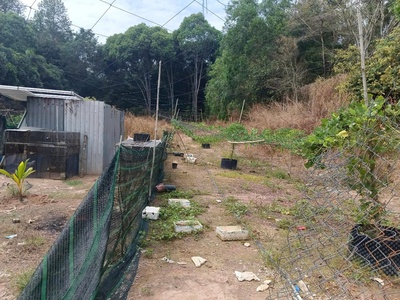 Đất vàng củ chi sát địa đạo bến đình đón đầu 2 dự án lớn 2