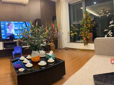 Chính chủ cần bán căn hộ chung cư tòa ecogreen city nguyển xiển, thanh xuân hn 0