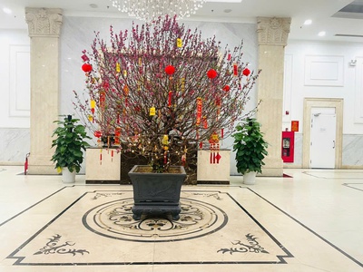 Cho thuê căn hộ houssinco premium   nguyễn xiển 2