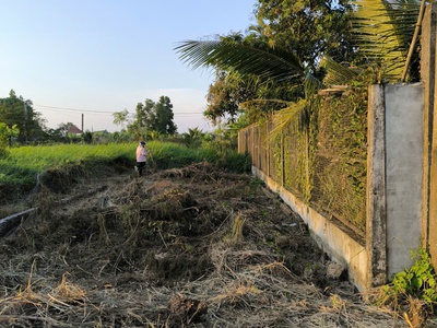 Nhanh tay sở hữu ngay lô đất đẹp - giá ưu đãi đường nguyễn văn lãnh, xã mỹ lệ, cần đước, long an 4