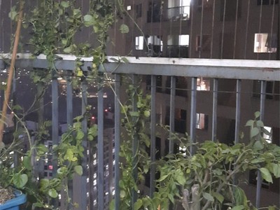 Chính chủ cần bán căn hộ chung cư victoria view đẹp tại quận hà đông tp hà nội 3