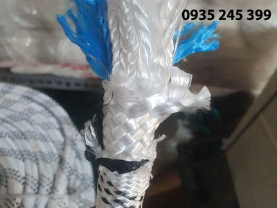 Dây dù đu tường sơn nước 8