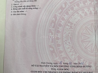 Chính chủ cần bán đất sổ hồng riêng - diện tích lớn - vị trí tiềm năng cao tại Phường Tân Đông Hiệp, 2