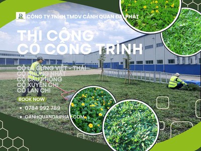 Thi công cỏ công trình nhà máy, nhà xưởng, sân vườn tại Đồng Nai 1