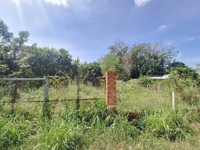 Bán nhanh đất, mặt tiền tỉnh lộ 15,an nhơn tây, củ chi 1800m2, chỉ 35 tỷ 1