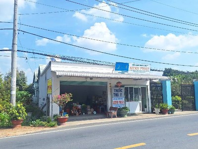 Bán nhanh đất, mặt tiền tỉnh lộ 15,an nhơn tây, củ chi 1800m2, chỉ 35 tỷ 0