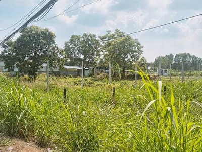 Bán nhanh đất, mặt tiền tỉnh lộ 15,an nhơn tây, củ chi 1800m2, chỉ 35 tỷ 2