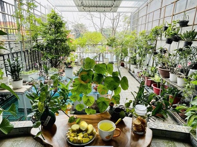 Nhà phố tân sơn ngay ga t3 tiện xây chdv 125m2 ngang 4.2m hxt gần chợ pvb 11.9 tỷ. 4