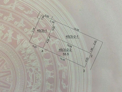 Chính chủ cần bán 55.5 m2 đất ngô xuân quảng - gia lâm, giá 10.55 tỷ, lh 0985865658 0