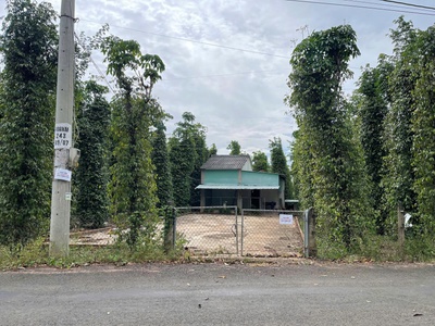 Bán siêu phẩm đất phủ hồng vườn đẹp - phù hợp cho mọi gia đình 2