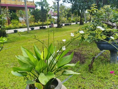 Bán nhà q.8 mới ken - kdc đồng bộ phú lợi - hai thành - 110m2 5x22m - chỉ nhỉnh 8 tỷ 2