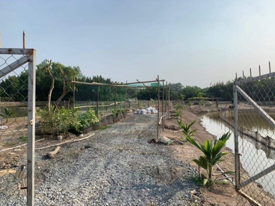 Bán lô đất thổ phân lô mặt tiền đê bao giá 7,5 tỷ 3