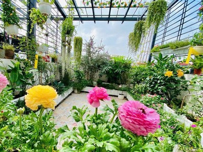 Hiếm- bán nhà đẹp nguyễn sơn- gần ô tô- sát phố- dân xây- 60m 5 tầng thang máy- full nt- nhỉnh 13 3