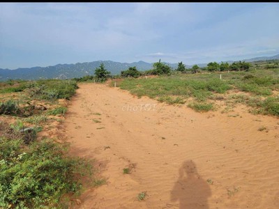 Bán đất ven biển giá tốt đầu tư nghỉ dưỡng sinh lời xã phước định, thuận nam 1