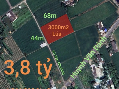 Bán đất lúa chuyển thổ xã vàm cỏ gần quốc lộ 50b giá 3,8 tỷ 0