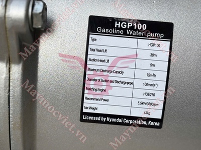 Máy bơm nước 4 thì Rato 15Hp giá rẻ 2