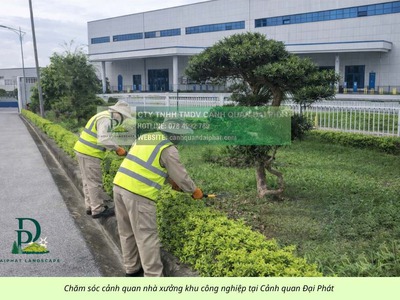Dịch vụ cắt cỏ vệ sinh cảnh quan KCN Amata KCN Biên Hòa Đồng Nai 0