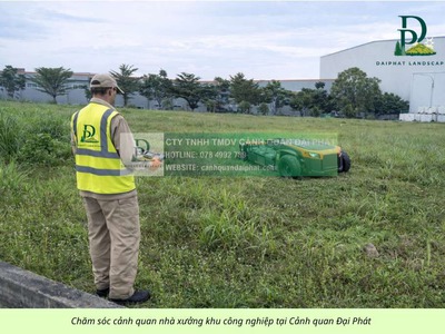 Dịch vụ cắt cỏ vệ sinh cảnh quan KCN Amata KCN Biên Hòa Đồng Nai 2