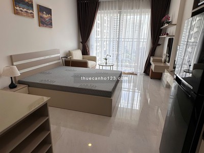 Cho Thuê Căn Hộ 30m Gần Vivo City Có Hồ Bơi Lớn View Thoáng Mát 0