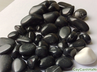 Sỏi Đen Tự Nhiên Có Bền Không  Sự Thật Bạn Cần Biết 2