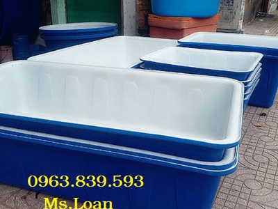 Thùng chữ nhật 1000L nuôi cá, làm bể bơi 2