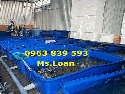 Thùng chữ nhật 1000L nuôi cá, làm bể bơi 4