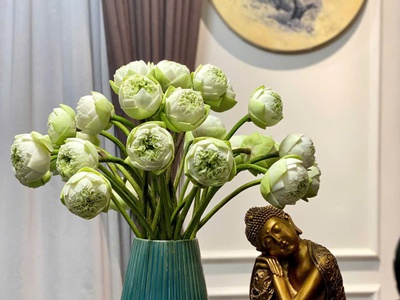 Nhà nghệ sĩ độc bản phố nguyễn hy quang 47m mt 7m ô tô vào nhà 27,5 tỷ 3