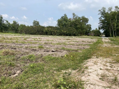 Đất mặt tiền hưng long quy đức, bình chánh 6000m2, giá 35 tỷ 1