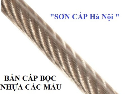 Cáp bọc nhựa trắng D12,D16,D10,D8,D6,D5,D4,D3,D2 rẻ 0968521058 Kim khí THANH SƠN Thanh Trì HN 8
