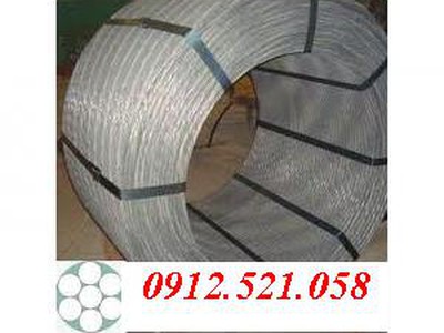 Cáp bọc nhựa trắng D12,D16,D10,D8,D6,D5,D4,D3,D2 rẻ 0968521058 Kim khí THANH SƠN Thanh Trì HN 7