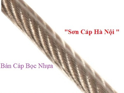 Cáp bọc nhựa trắng D12,D16,D10,D8,D6,D5,D4,D3,D2 rẻ 0968521058 Kim khí THANH SƠN Thanh Trì HN 6