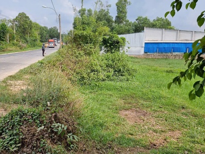 Bán gấp đất mặt tiền kênh 5 bình lợi bình chánh 1.5ha, giá 42...