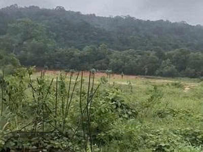 Chính chủ hạ giá bán gấp 827m2 đất sẵn sổ mặt tiền tt suối lớn- dương tơ 2