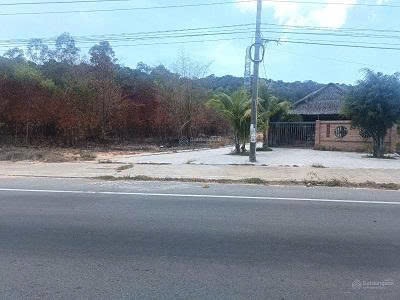 Chính chủ hạ giá bán gấp 827m2 đất sẵn sổ mặt tiền tt suối lớn- dương tơ 0