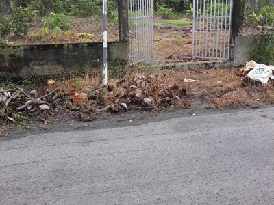 Kẹt tiền cần bán gấp trong tháng 2 lô đất liền kề vị trí xã đồng thạnh, gò công tây, tiền giang 3