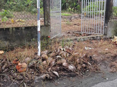 Kẹt tiền cần bán gấp trong tháng 2 lô đất liền kề vị trí xã đồng thạnh, gò công tây, tiền giang 4