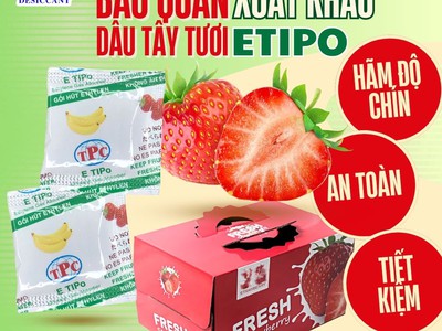 Giữ trái cây tươi lâu với gói hút khí ethylene etipo 