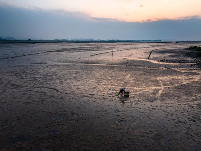 Quỹ căn liền kề đầu tiên SIÊU HOT tại Vinhomes Hạ Long Xanh. 2