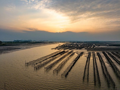 Quỹ căn liền kề đầu tiên SIÊU HOT tại Vinhomes Hạ Long Xanh. 4