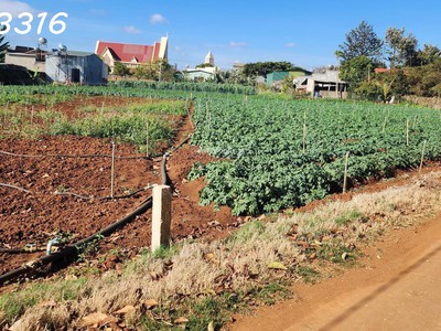 Cắt lỗ bán nhanh lô đất siêu đẹp tại tutra xã đơn dương, lâm đồng 0