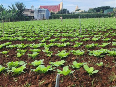 Cắt lỗ bán nhanh lô đất siêu đẹp tại tutra xã đơn dương, lâm đồng 3