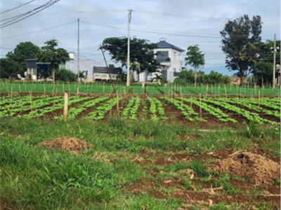 Cắt lỗ bán nhanh lô đất siêu đẹp tại tutra xã đơn dương, lâm đồng 4